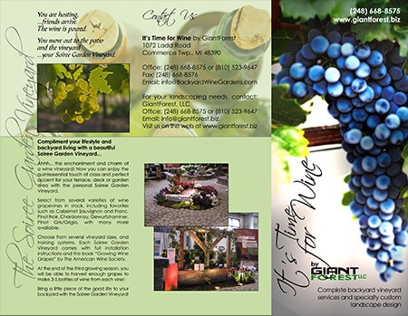 brochure_giant_forest