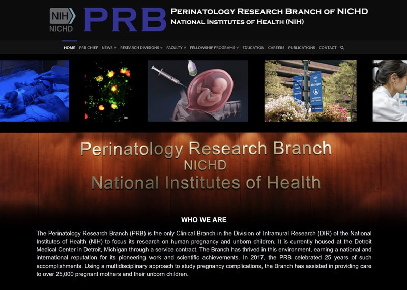 WEBSITE - WAYNE STATE UNIVERSITY - PERINATOLOGY RESEARCH BRANCH  -  VIEW LIVE SITE